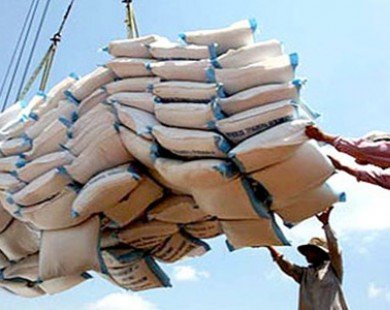 Đã xuất khẩu được gần 5,5 triệu tấn gạo, trị giá gần 2,4 tỷ USD