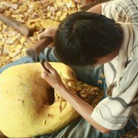 Khám phá một Hội An không ở phố