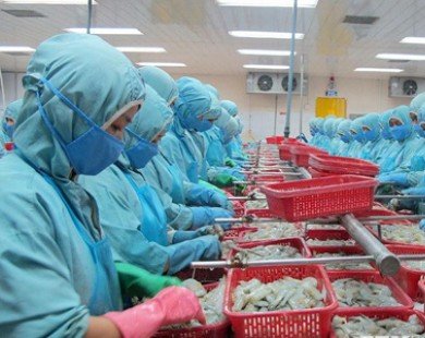 WTO đưa phán quyết với 7 nội dung có lợi cho tôm Việt Nam