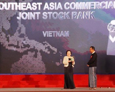 Nữ đại gia bí ẩn chi tiền cho Vietnam Airlines mua máy bay