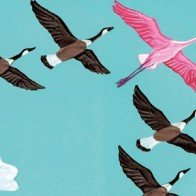 Ăn theo những khách hàng siêu giàu