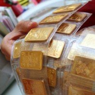 “Dù chênh lệch giá cao vẫn chưa đến lúc đấu thầu vàng”