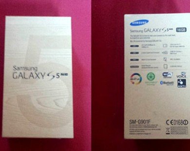 Samsung Galaxy S5 Plus có giá 14 triệu đồng