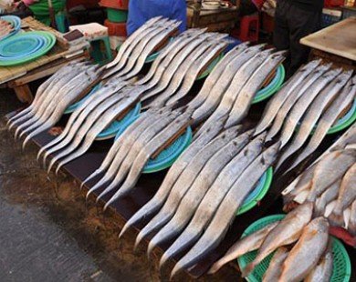 Đến thăm chợ hải sản Jagalchi nổi tiếng xứ Hàn