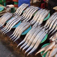 Đến thăm chợ hải sản Jagalchi nổi tiếng xứ Hàn