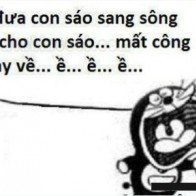 Thư gửi "con sáo sang sông"