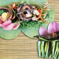 Ngày hội du lịch Đồng Tháp