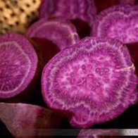 Khoai lang tím giúp giảm cân hiệu quả