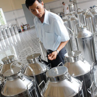 Nông dân sản xuất rượu thanh long
