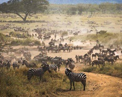 7 lý do nên đến châu Phi một lần trong đời