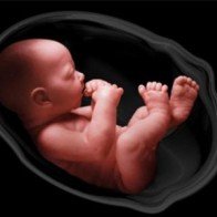 Chuẩn cân nặng thai nhi theo từng tuần