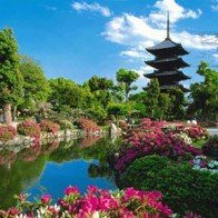 Những điểm du lịch hấp dẫn tại Nhật Bản