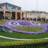 Những điều cần biết khi đi du lịch ở Nhật Bản