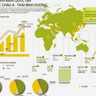 Top 10 tên miền quốc gia Châu Á-Thái Bình Dương