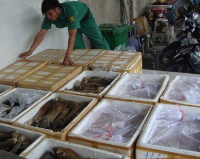 Hà Nội: Thu giữ 3.000 thùng thịt trâu có dấu hiệu giả mạo hàng hóa
