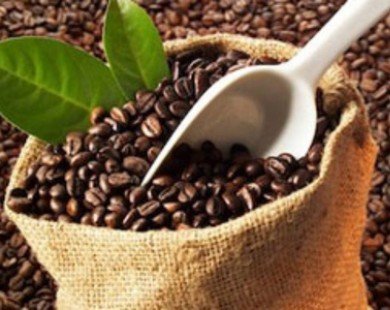 Đức, Mỹ tiêu thụ cà phê Việt Nam nhiều nhất