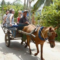 Về thăm vương quốc dừa xanh