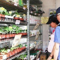 Hơn 300 doanh nghiệp tham gia Hội chợ Nông nghiệp quốc tế