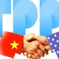 "Thuế tất cả các mặt hàng sẽ về 0% nhưng cần có lộ trình”