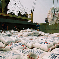 Bản tin giá cả thị trường ngày 15/12