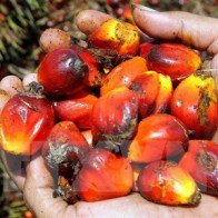 Malaysia thành lập Hội đồng xuất khẩu thúc đẩy cạnh tranh