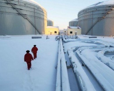 Nga sẽ không giảm sản lượng dầu