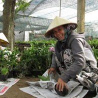 Lan chơi Tết cháy hàng