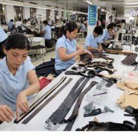 “Doanh nghiệp có thể chỉ duy trì mức thưởng Tết bằng năm ngoái”