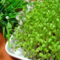 Những thực phẩm nguy hại khôn lường khi ăn sống