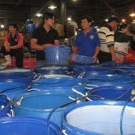 Hàng Tết sẽ đầy ắp chợ