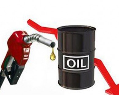 Thị trường dầu quay lại đà giảm giá do nhân tố Saudi Arabia