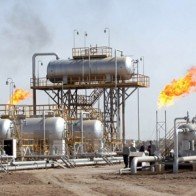 OPEC sẽ không cắt giảm sản lượng dù giá dầu xuống 20 USD