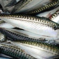 Cách nhận biết cá tươi không bị ướp đạm như thế nào?