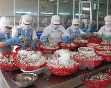 HSBC: Kinh tế Việt Nam sẽ tươi sáng hơn trong ngắn hạn