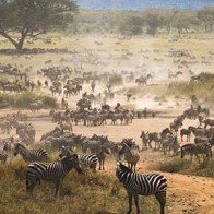 Việt Nam lọt top 10 điểm du lịch có giá "mềm" năm 2015