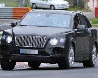 Bentley dự định sản xuất thêm SUV cỡ nhỏ