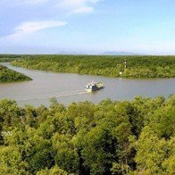 Khu dự trữ sinh quyển Cần Giờ lọt Top 100 địa điểm du lịch bền vững
