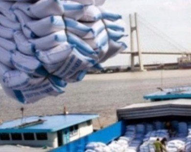 Đẩy mạnh xuất khẩu gạo sang châu Phi, Tây Á, Nam Á