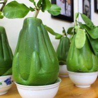 Những loại cây, quả hút tài lộc ngày Tết