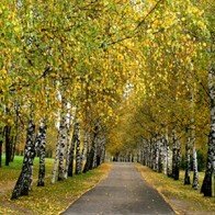 Kinh nghiệm khi đi du lịch Nga