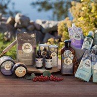 Mua gì khi đi du lịch Nga?