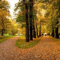 Những nét văn hóa đặc trưng của người Nga