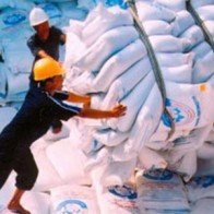 Xuất khẩu gạo năm 2015 lo nông dân bị ép giá