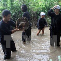 Cần Thơ phát triển nhiều sản phẩm du lịch mới hấp dẫn du khách