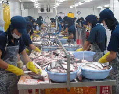 Tạm hoãn thời điểm thực hiện 2 quy định mới về xuất khẩu cá tra