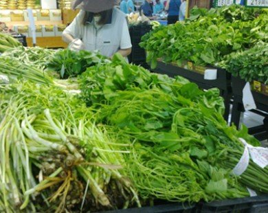Hà Nội: Xử lý nghiêm các siêu thị tiêu thụ rau không rõ nguồn gốc