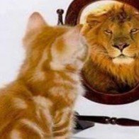 Công ty chứng khoán nhận định thị trường ngày 21/1