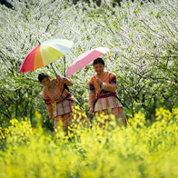 Du lịch dịp Tết Nguyên Đán tại sao không?