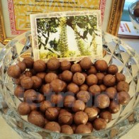 Cây thu nhập “tỷ đô” có thể giúp xóa nghèo ở Tây Nguyên và Tây Bắc