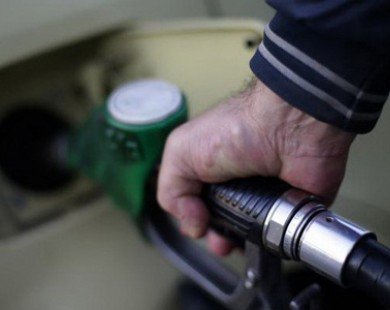 OPEC dự báo giá dầu đã chạm đáy và sẽ sớm phục hồi trở lại